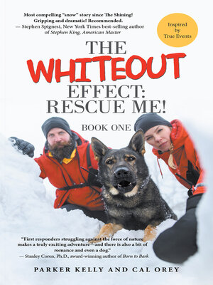 cover image of The Whiteout Effect